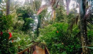 Best Time to Visit Costa Rica: Weather by Month & Region