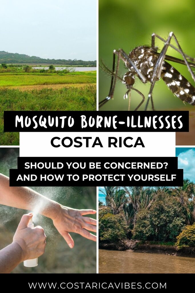 Mosquitoes in Costa Rica: How to Stay Protected