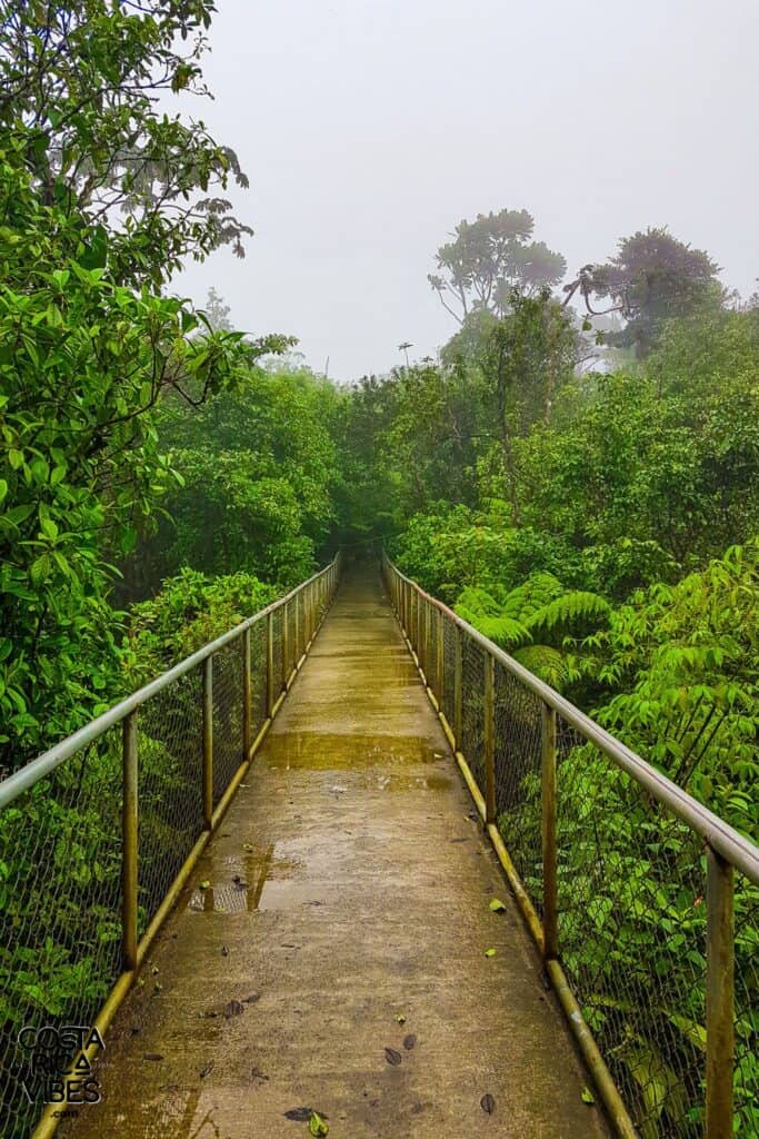 rio celeste trail