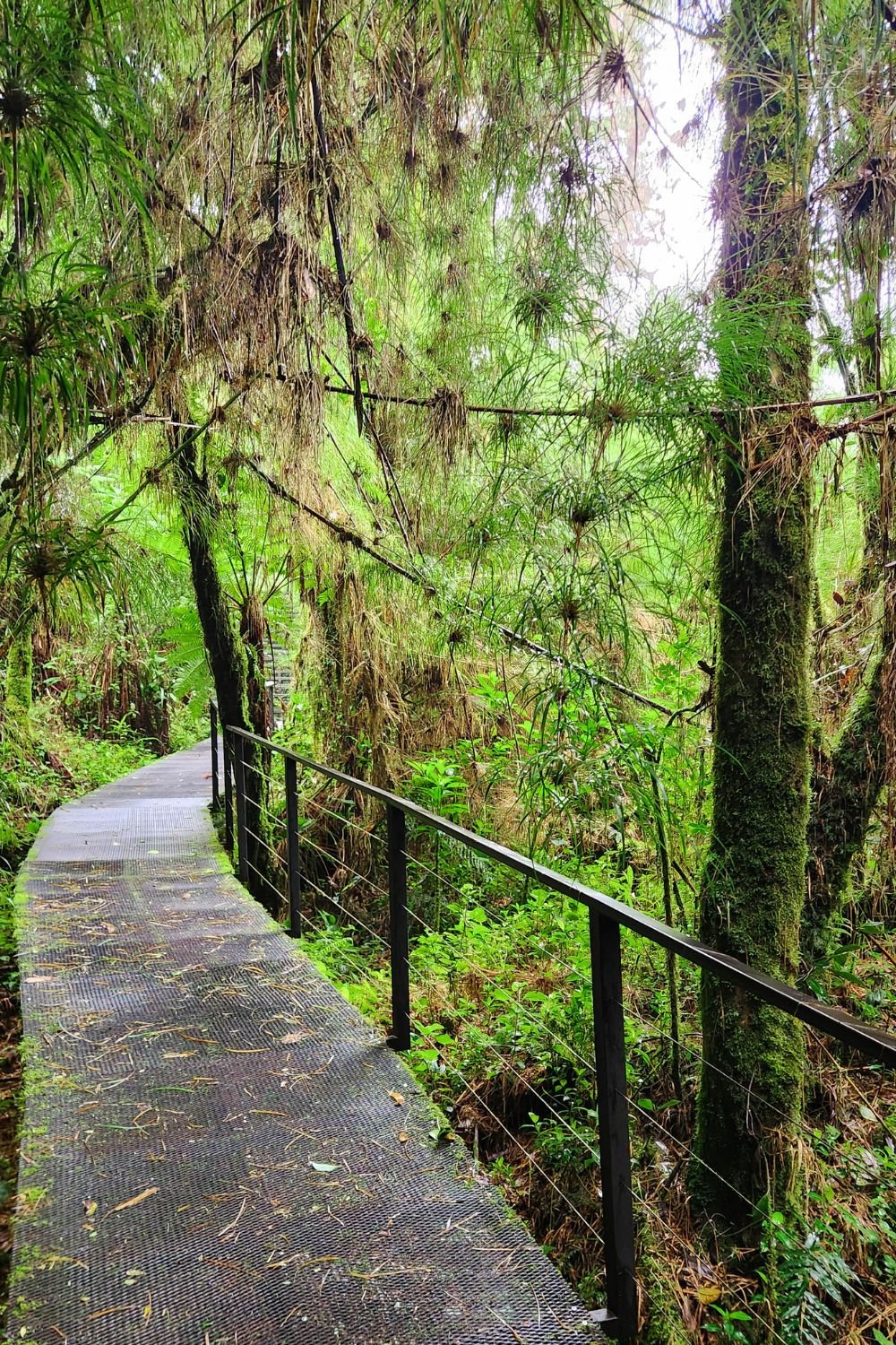 quetzals national park