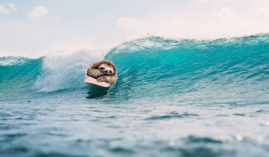 We Built an AI That Plans Your Costa Rica Trip — For FREE (Meet Slothy!)