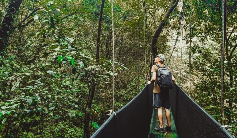 Hanging Bridges in Costa Rica: Best Places + Tips for 2026