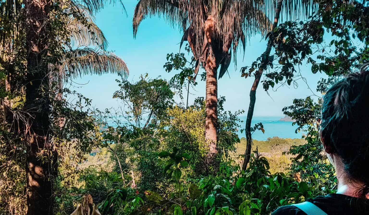 Best Time to Visit Costa Rica: Weather by Month & Region