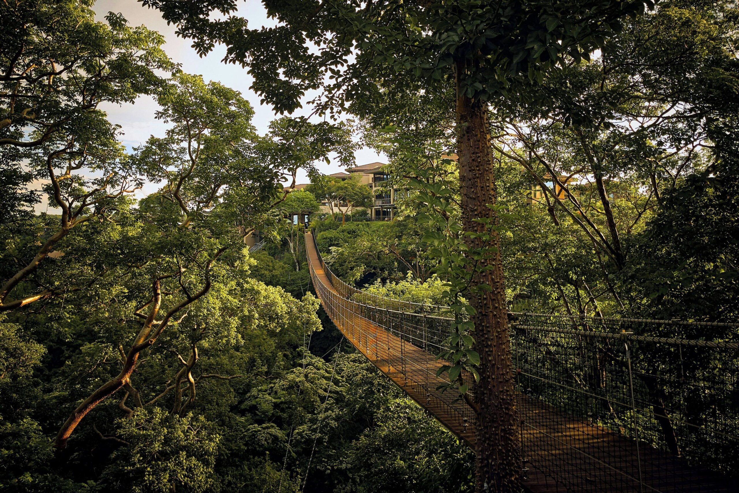 5 Michelin Guide Hotels in Costa Rica We Love