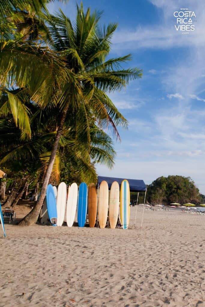 surf boards quepos