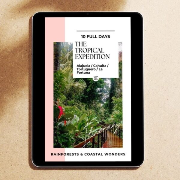 The Tropical Expedition