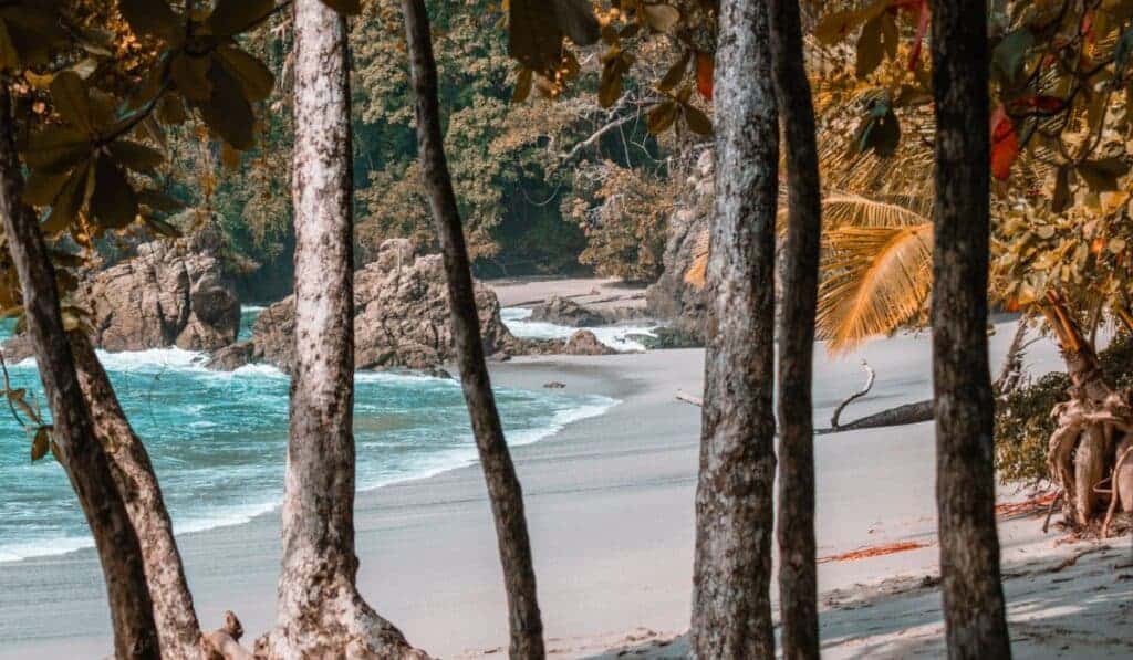 manuel antonio national park beach