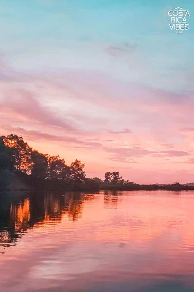 bocas del toro