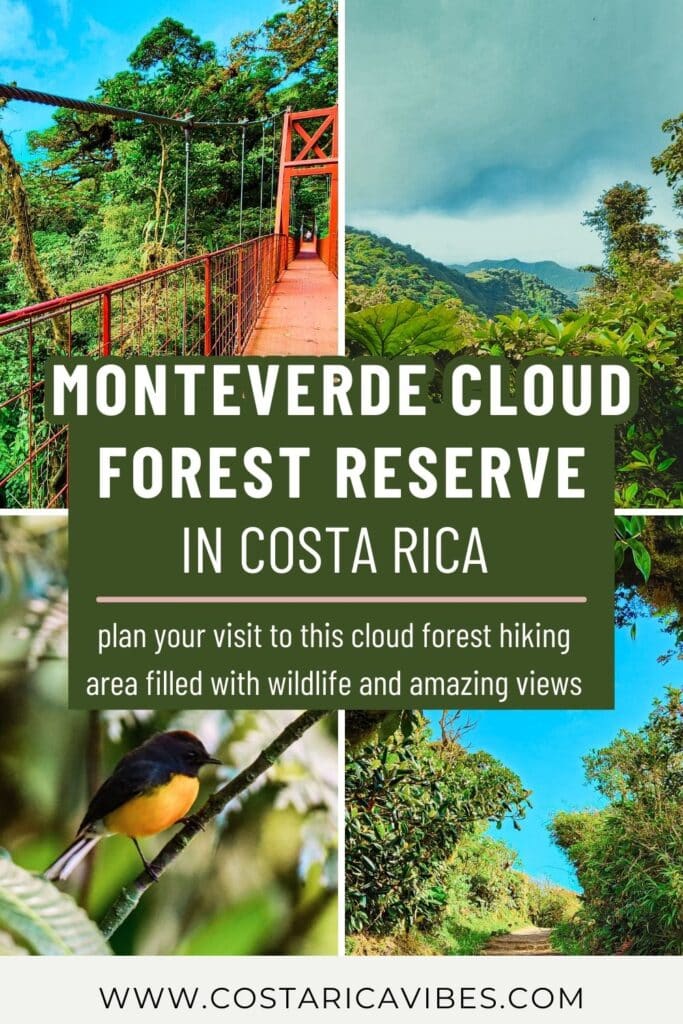Monteverde Cloud Forest Reserve in Costa Rica: Plan Your Visit