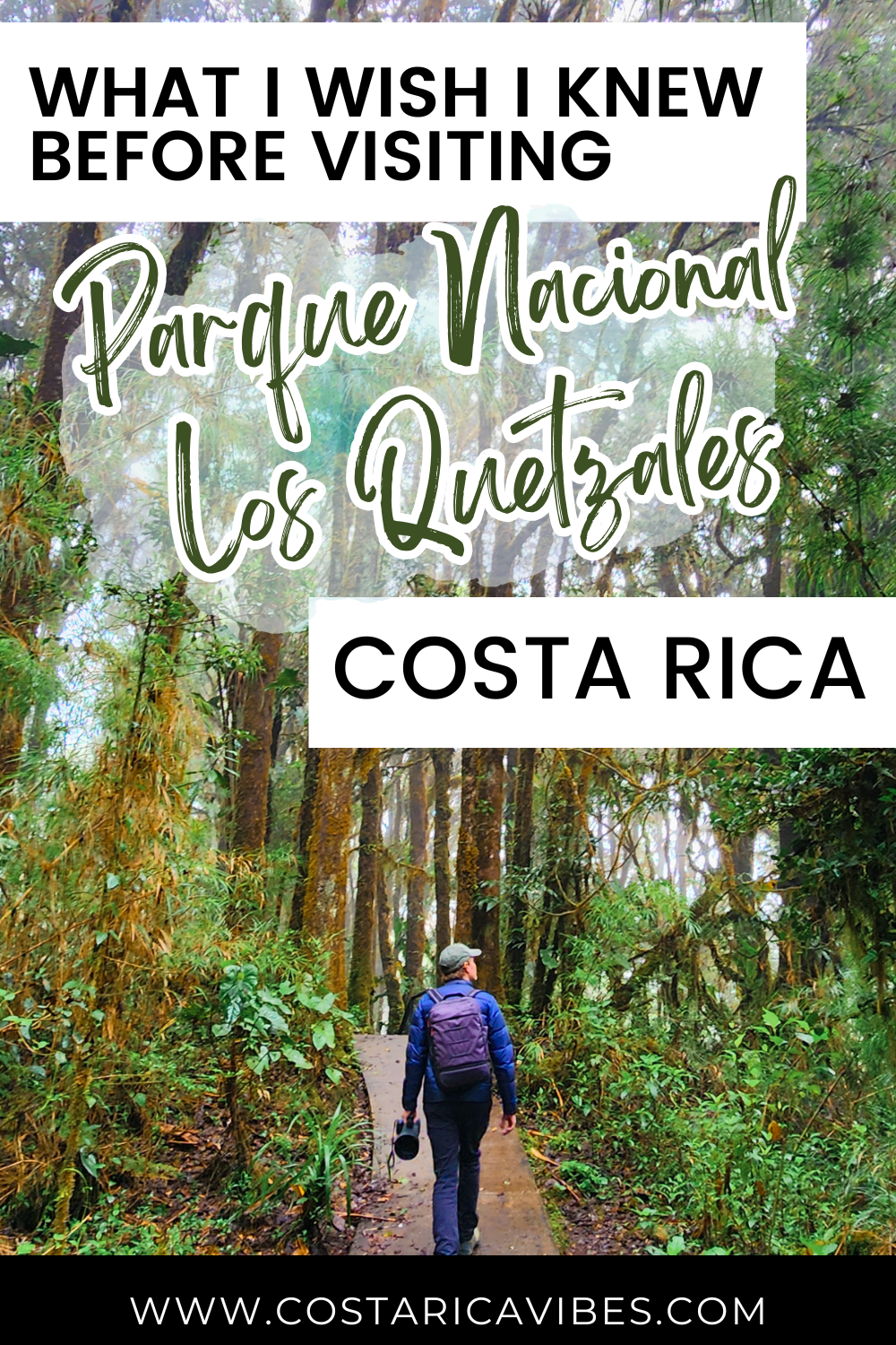 Parque Nacional Los Quetzales: Complete Guide to Visiting