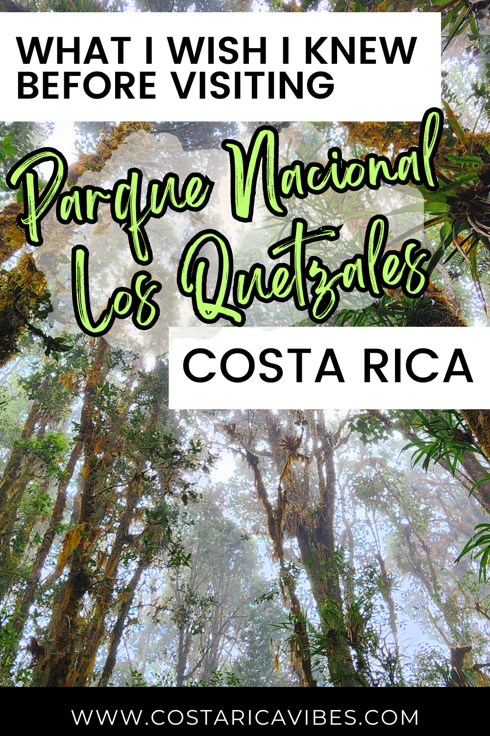 Parque Nacional Los Quetzales: Complete Guide to Visiting