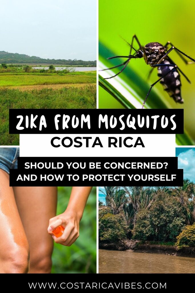Mosquitoes in Costa Rica: How to Stay Protected