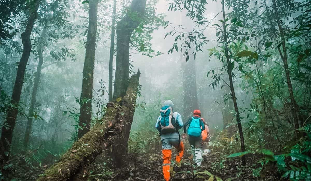 Costa Rica Tours - 8 Guided Vacation Ideas