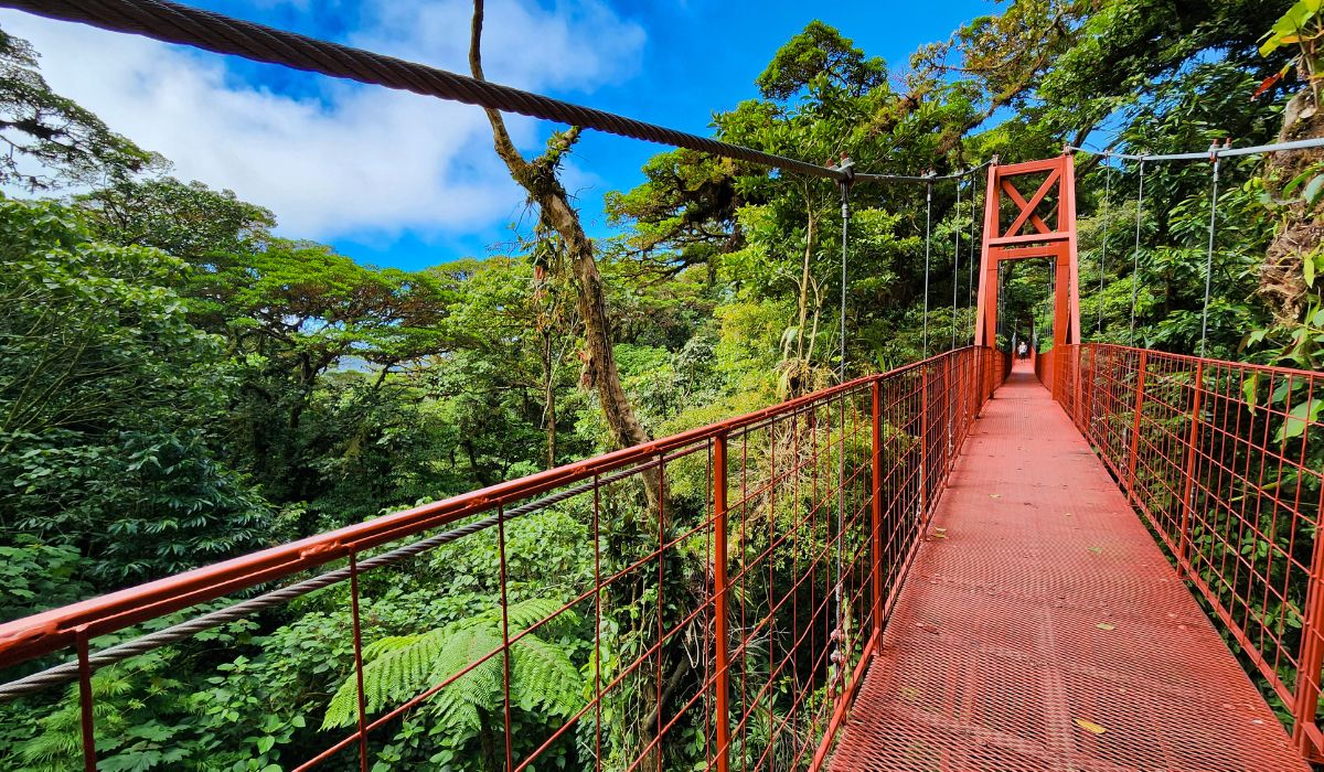hanging birdge on sunny day in Monteverde Costa Rica