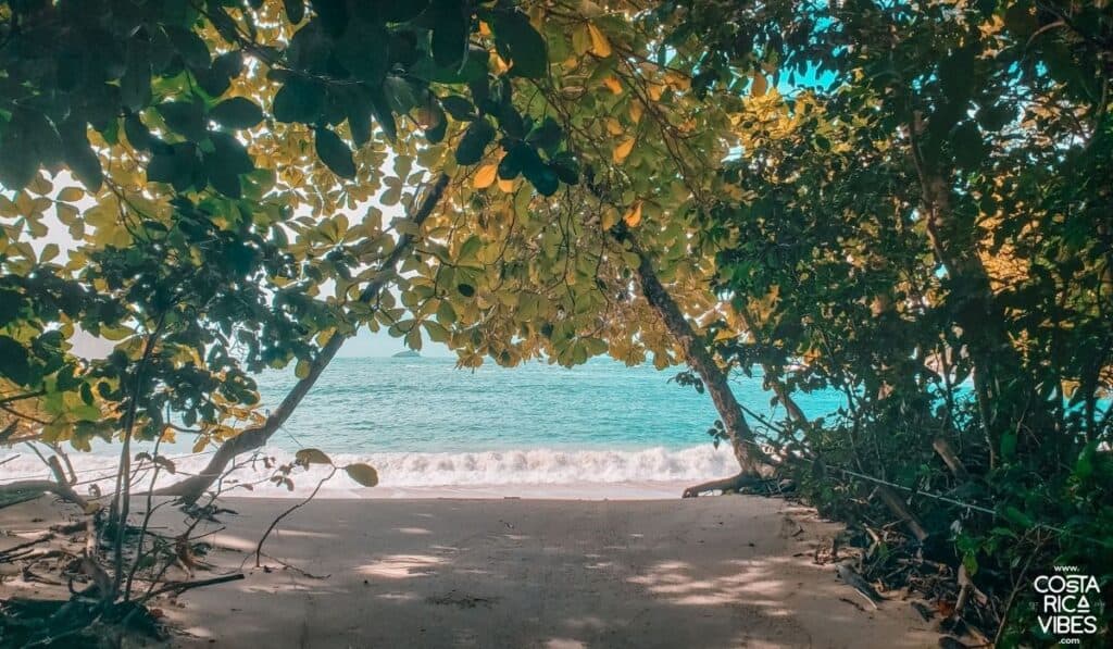 manuel antonio national park beach