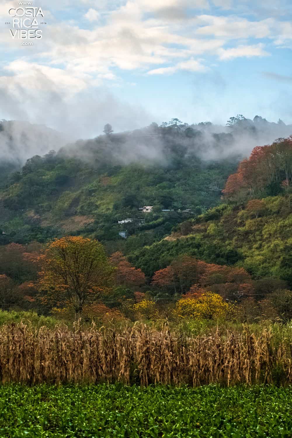 Orosi Costa Rica A Natural River Valley Near the Capital
