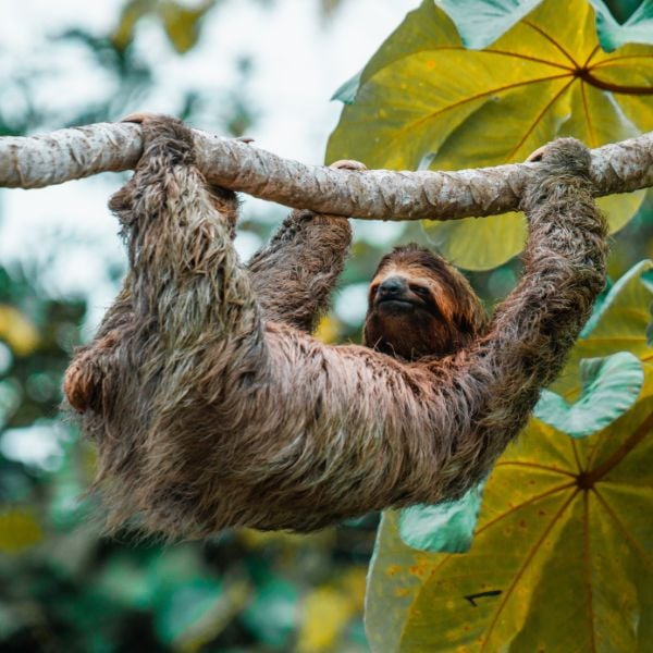 One Week in Costa Rica: The Best Jungle & Beach Itinerary