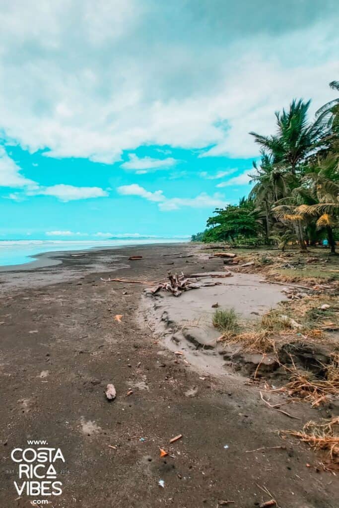 esterillos costa rica beach