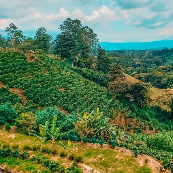 One Week in Costa Rica: The Best Jungle & Beach Itinerary