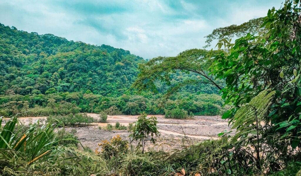 Braulio Carrillo National Park: Explore the Rainforest