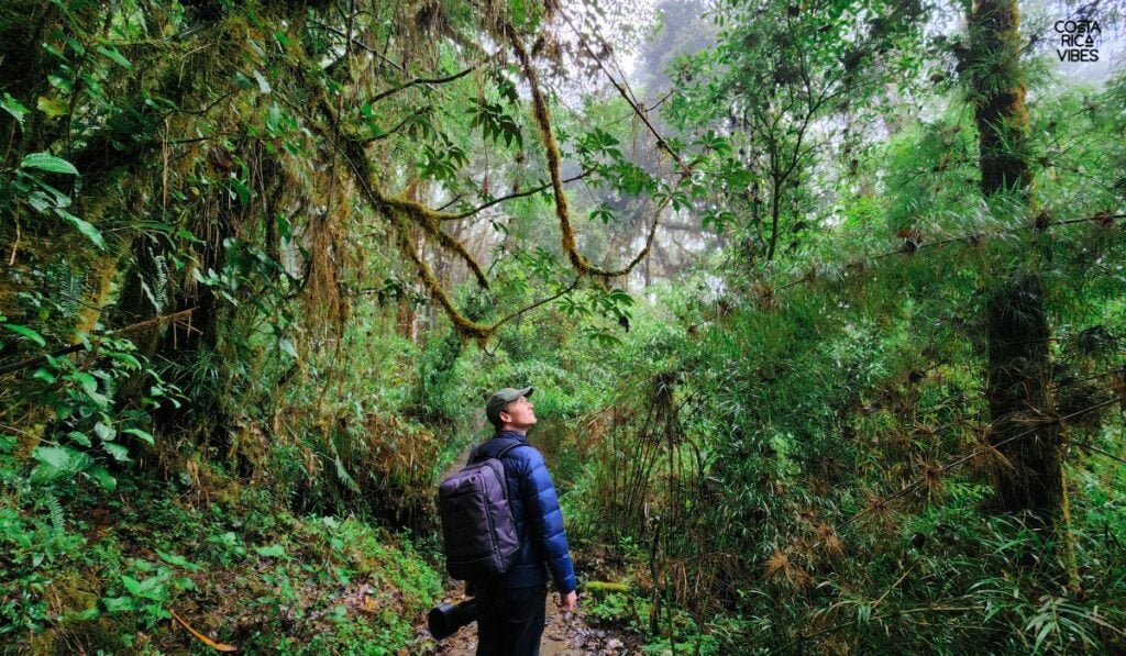 Parque Nacional Los Quetzales: Complete Guide to Visiting