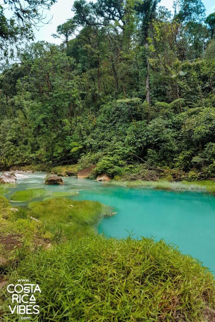 rio celeste view costa rica