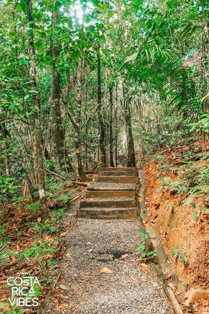 manuel antonio national park stairs