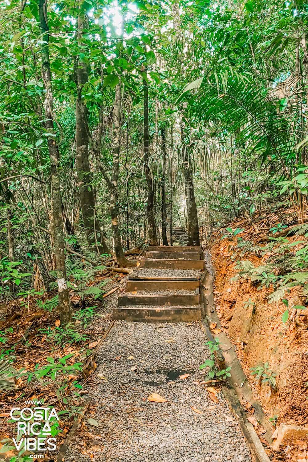 manuel antonio national park stairs
