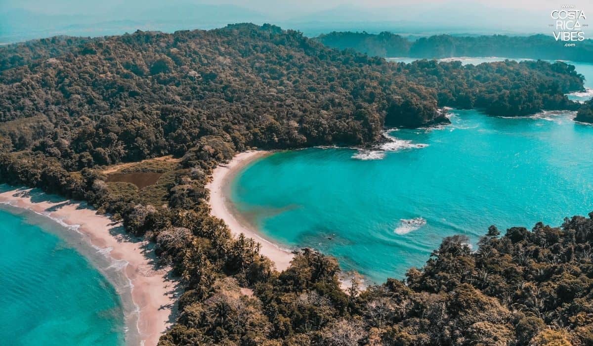 Manuel Antonio National Park: A Full Visitor Guide