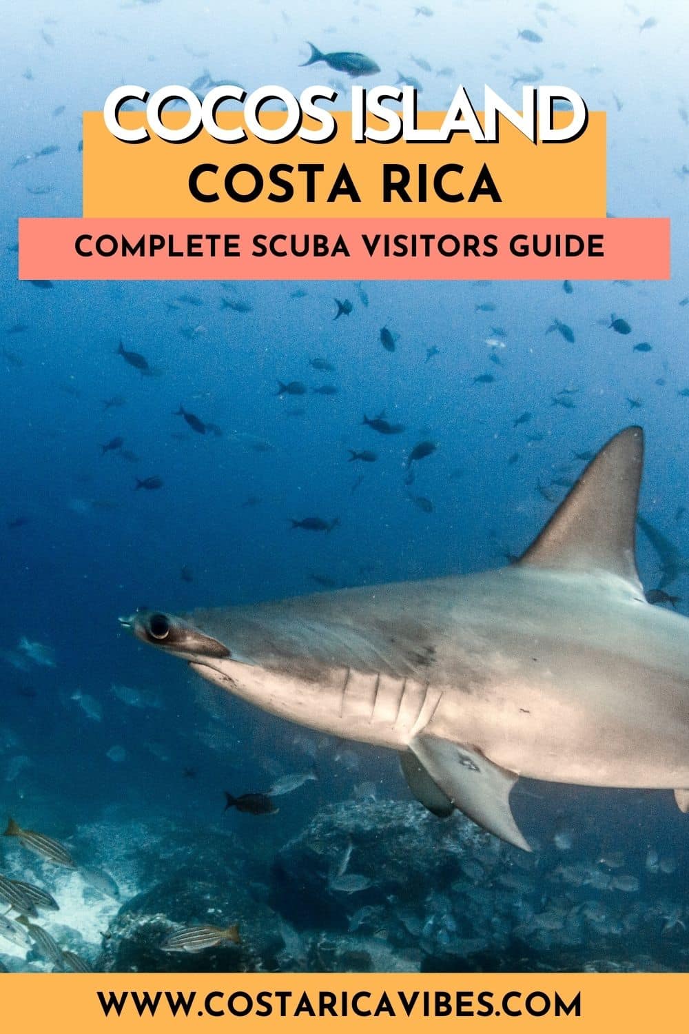 Cocos Island - Dive with Sharks in Costa Rica