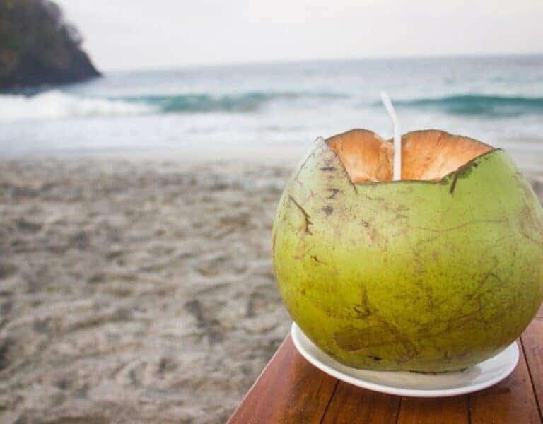 coconut