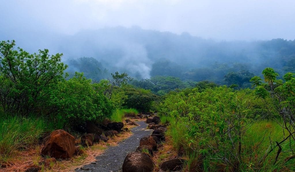 rincon de la vieja