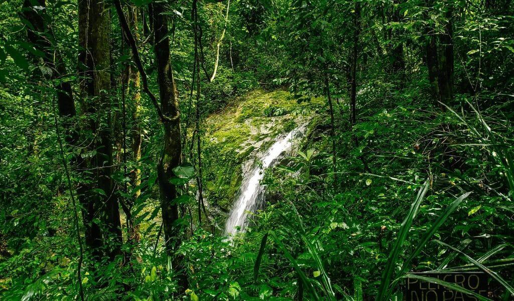 manuel antonio waterfall