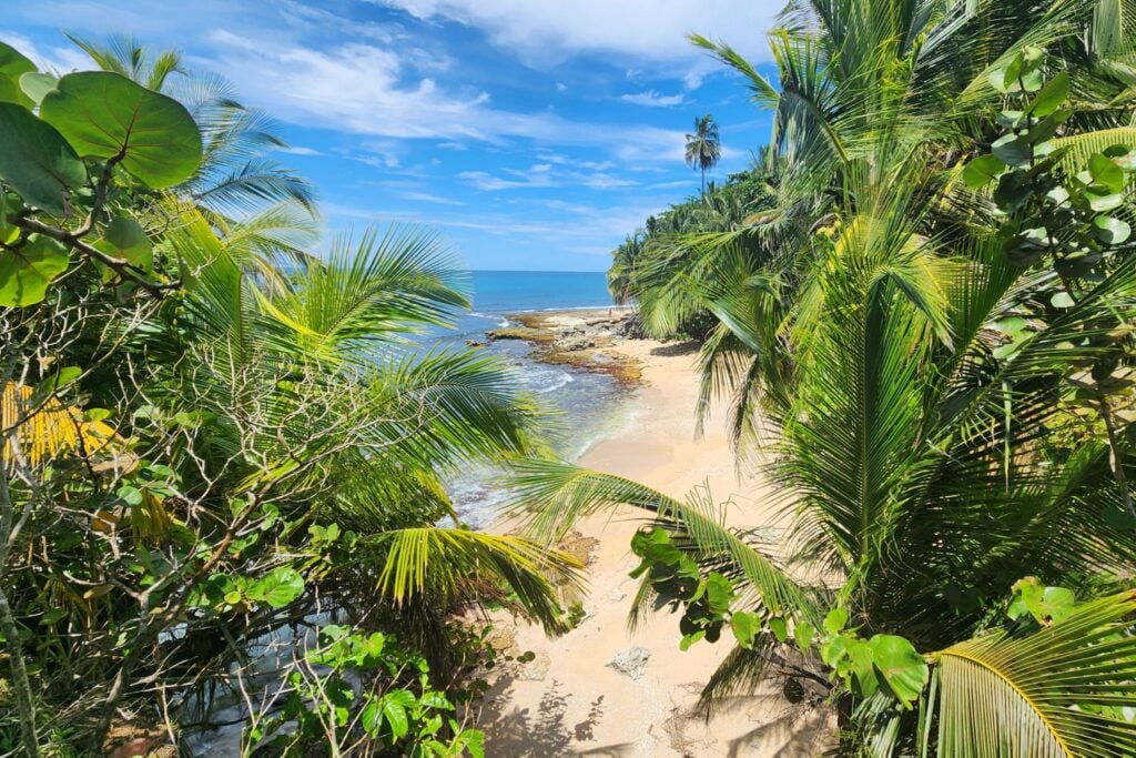 playa Manzanillo on sunny day