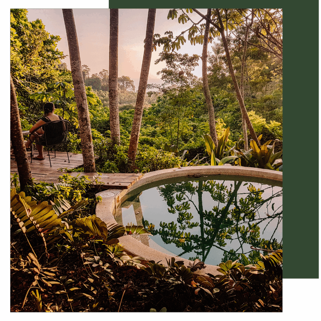 Manuel Antonio Costa Rica: Complete Visitors Guide