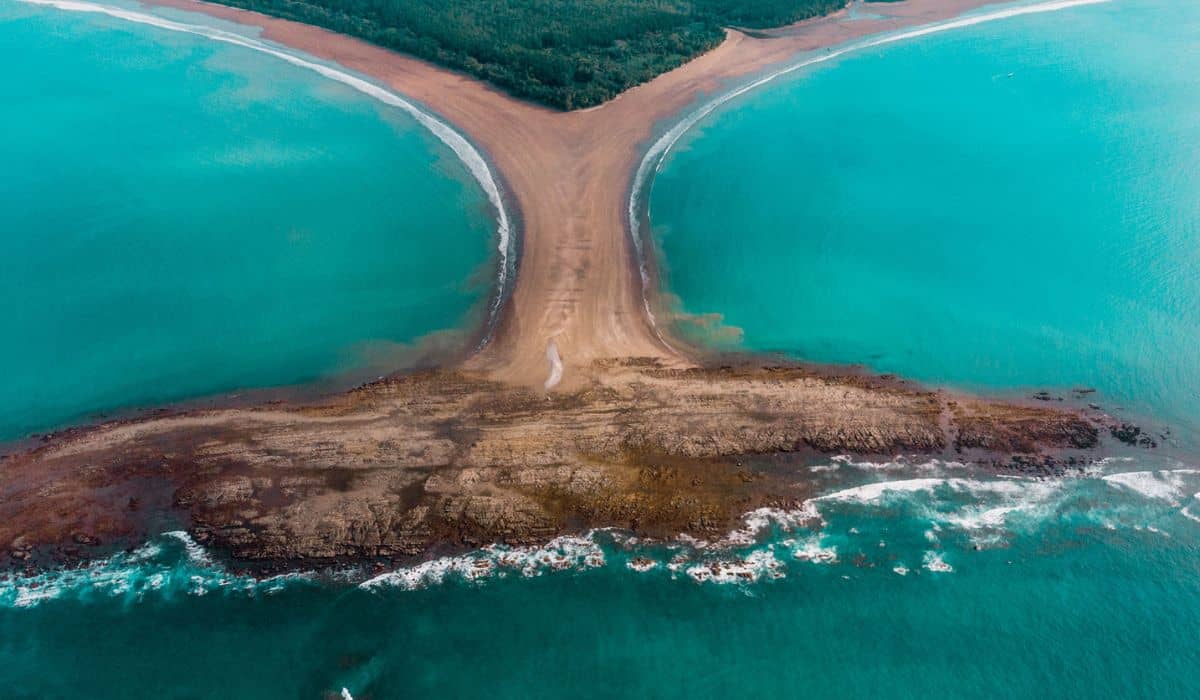 whales tail uvita from above