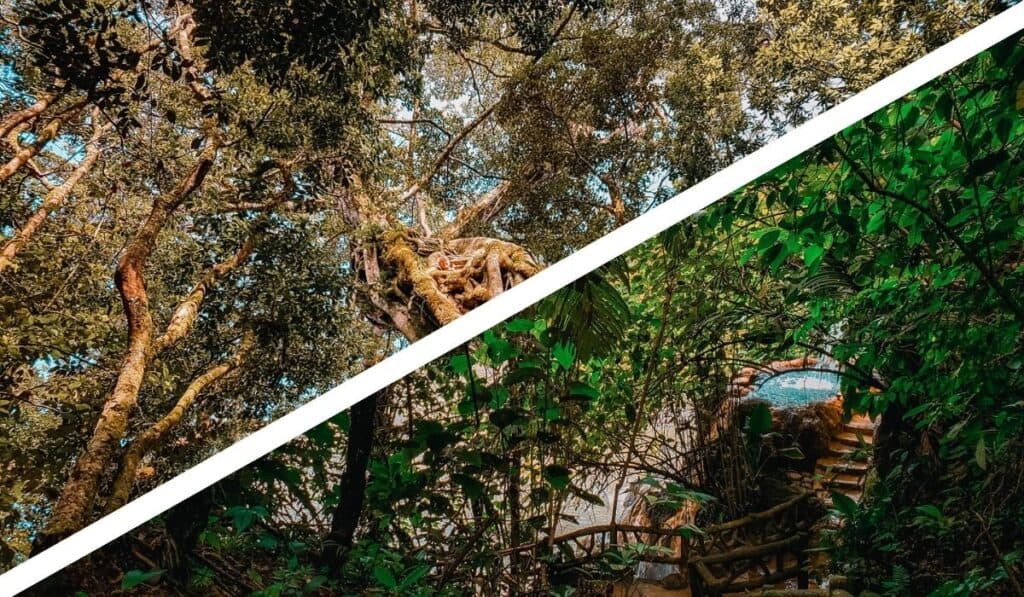 la fortuna or Monteverde