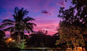 Hotels Near San Jose Costa Rica Airport: 24 Best Places