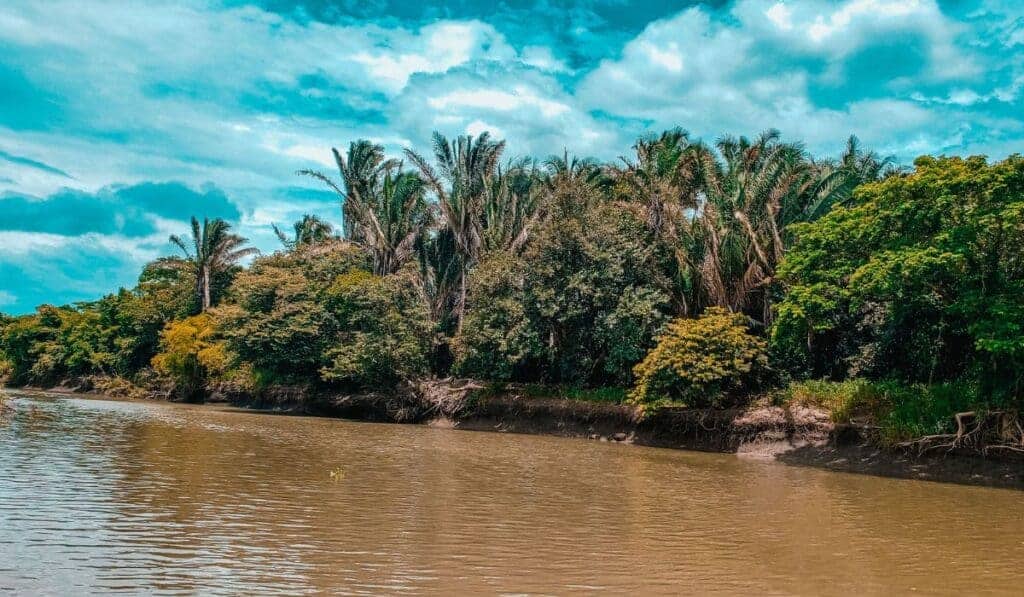 River Tempisque in Palo Verde, Costa Rica