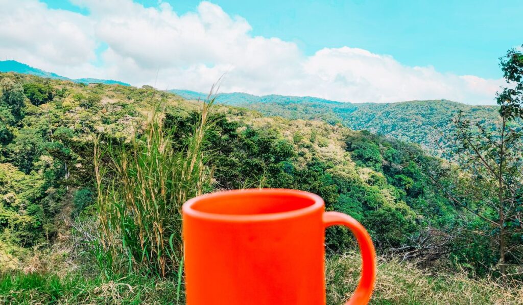 monteverde coffee view