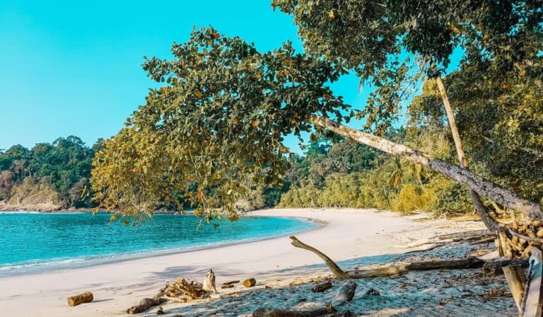 view of manuel antonio national park beach