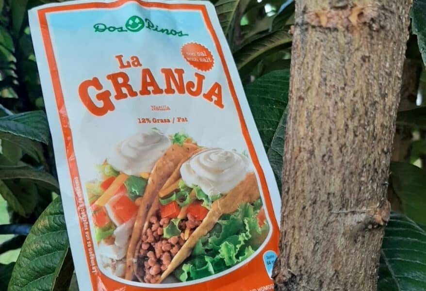 15 Traditional Costa Rican Foods to Try