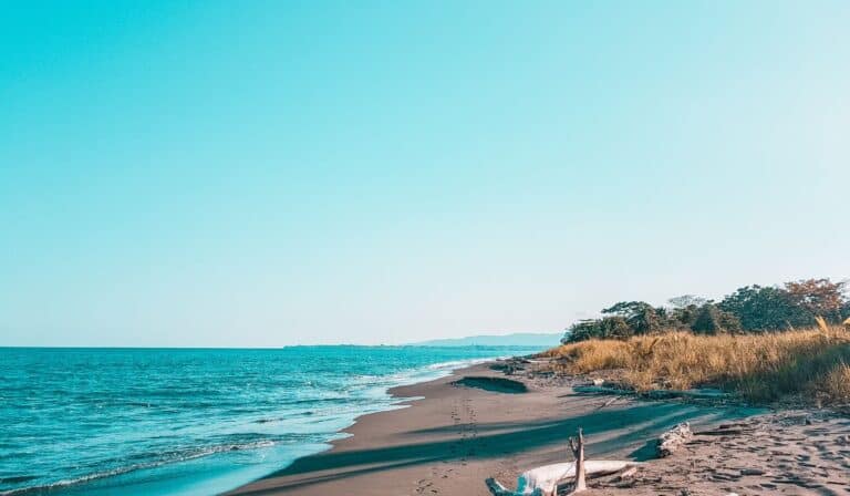 puerto jimenez hotels