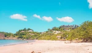 playa flamingo hotels