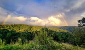 15 Best Hotels in Monteverde, Costa Rica: All Budgets