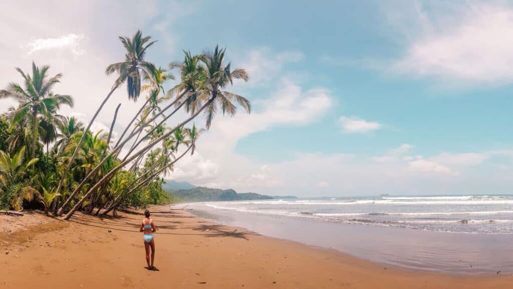 Palm trees on the beach in Uvita