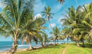 12 Best Hotels in Puerto Viejo, Costa Rica for All Budgets