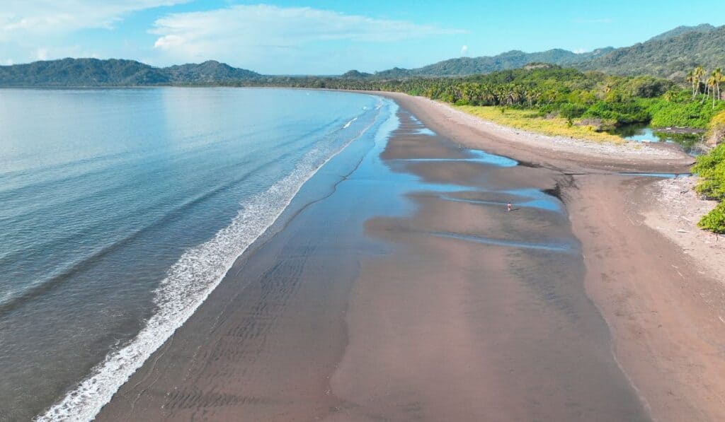 tambor hotels