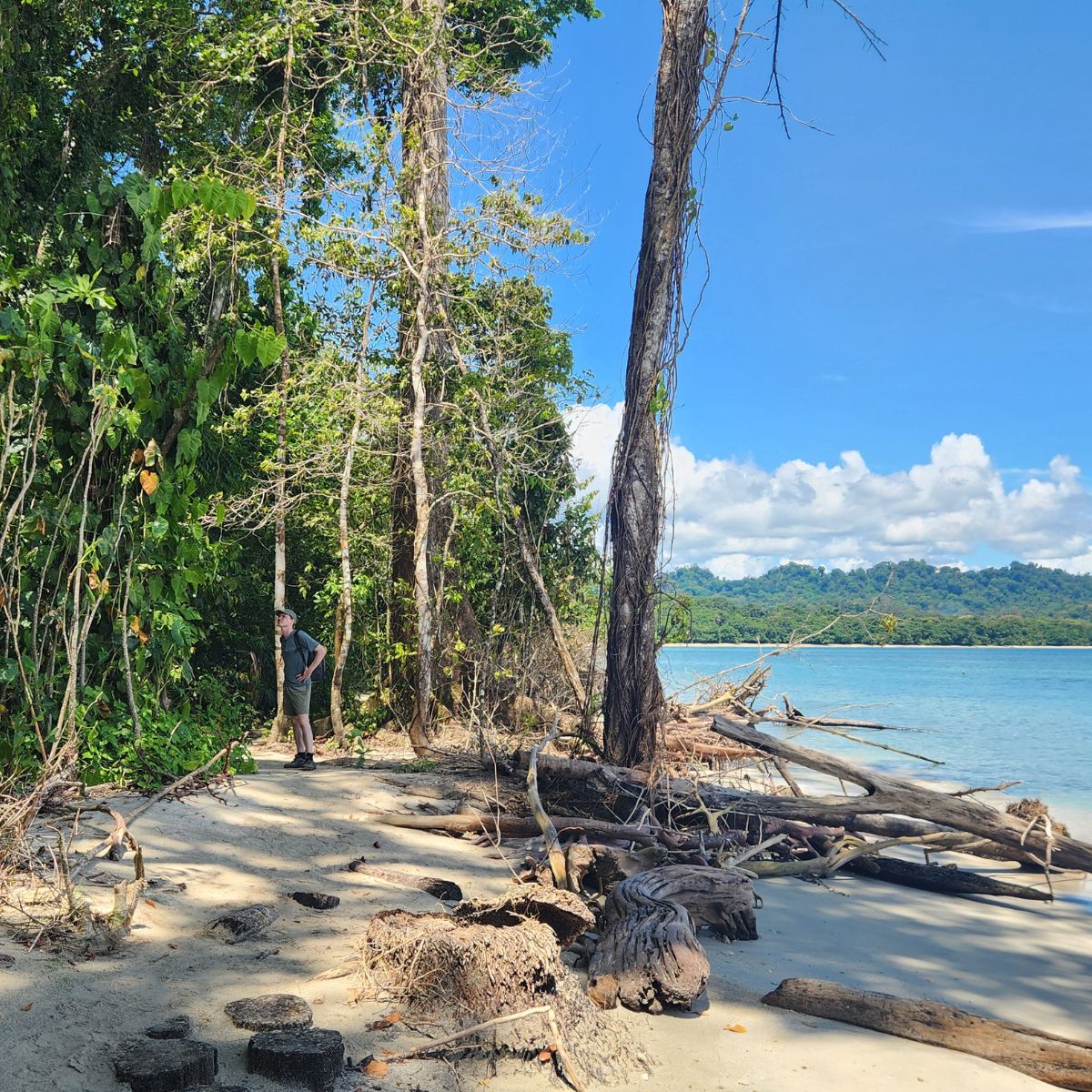 coastline of cahuita costa rica