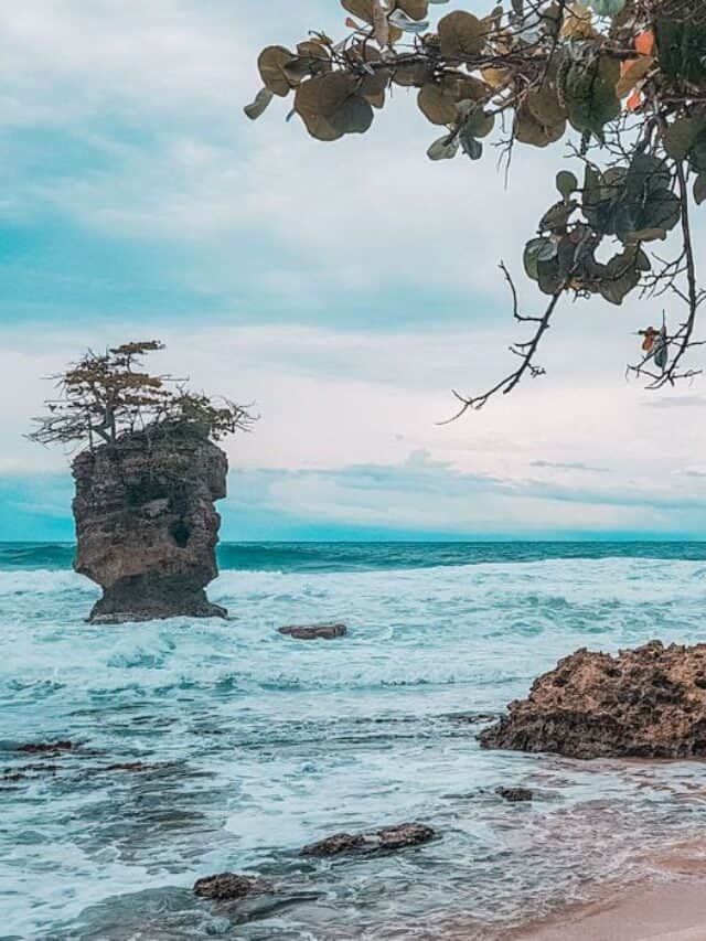 manzanillo Costa Rica